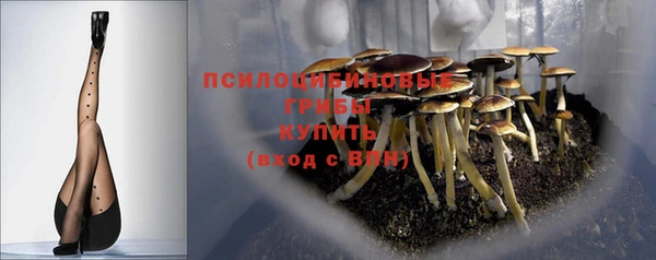 молекула духа Ладушкин