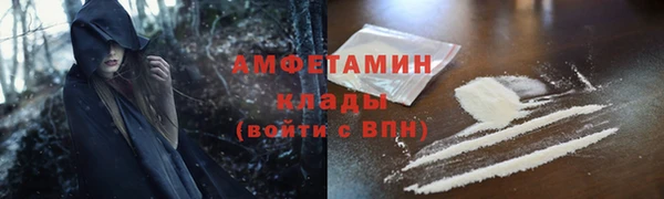 молекула духа Ладушкин