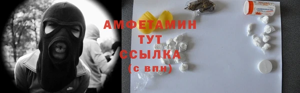 молекула духа Ладушкин