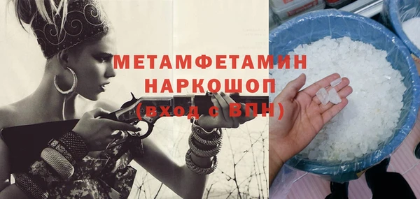 молекула духа Ладушкин