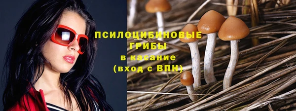 дмт Лихославль