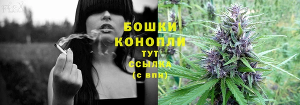 молекула духа Ладушкин